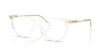 DOLCE &amp; GABBANA DG3443 3133 53