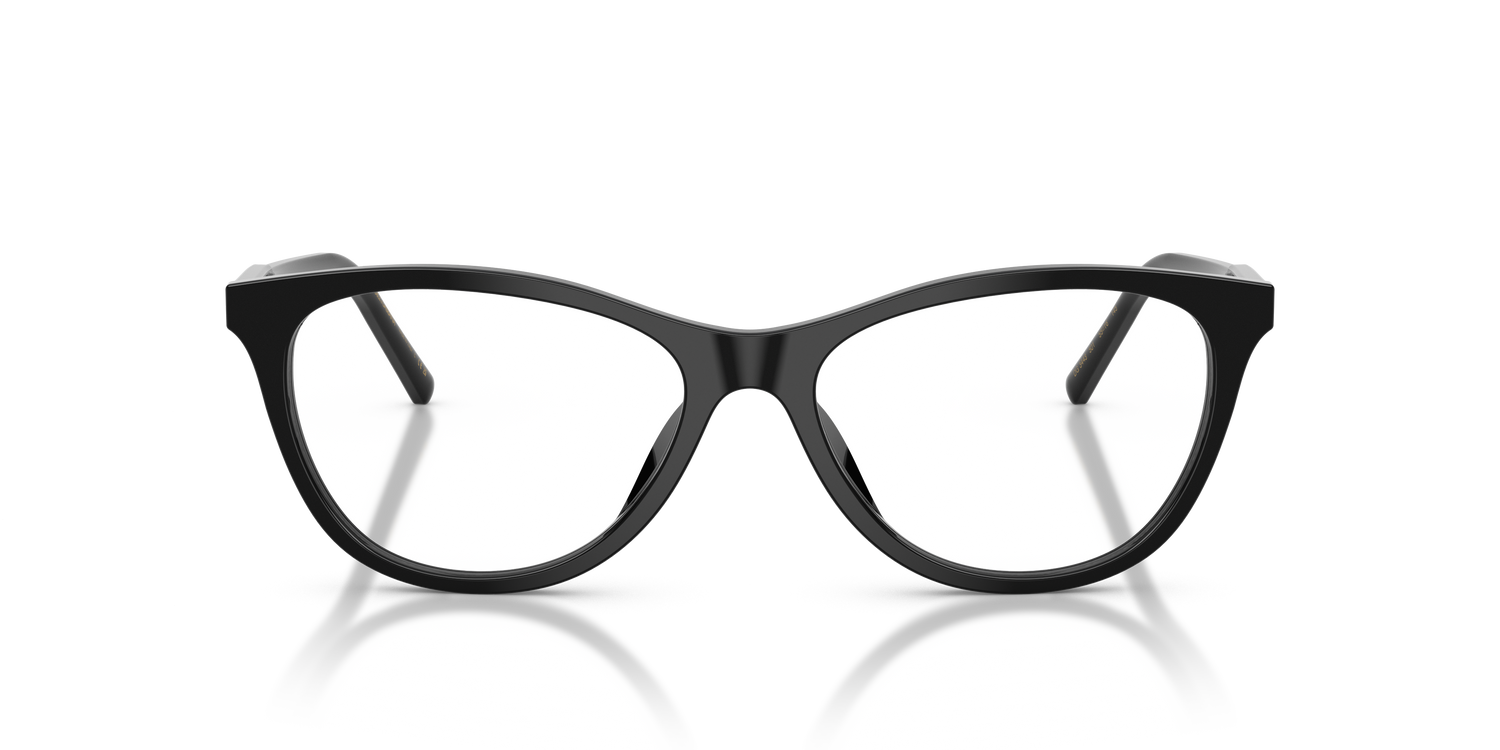 DOLCE &amp; GABBANA DG3443 501 55