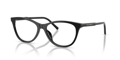 DOLCE &amp; GABBANA DG3443 501 55
