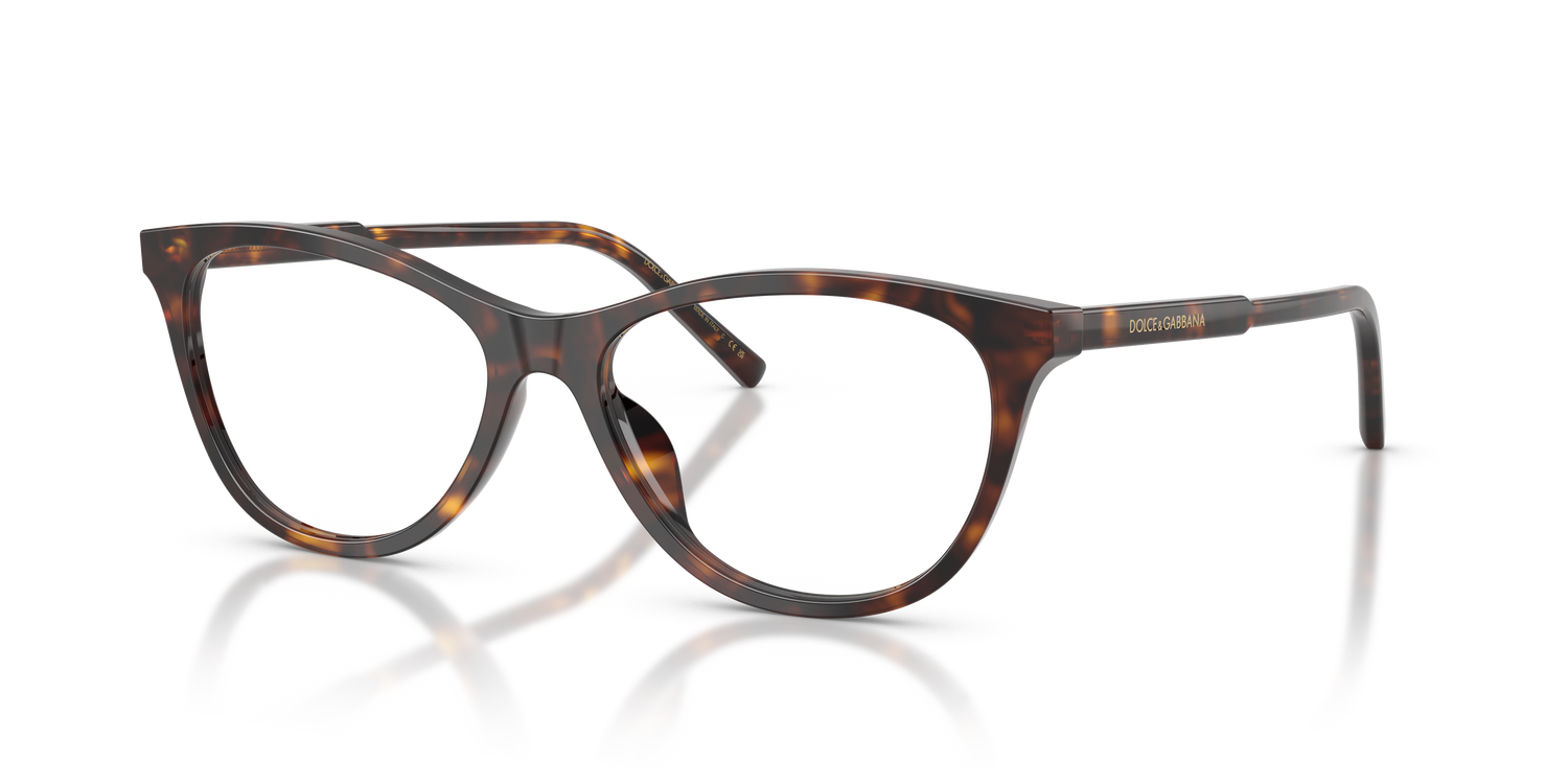 DOLCE &amp; GABBANA DG3443 502 53