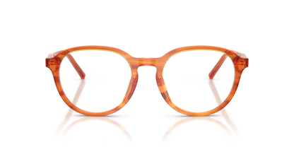 DOLCE &amp; GABBANA DG3444 3483 52