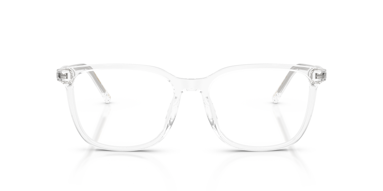 DOLCE &amp; GABBANA DG3445 3133 53