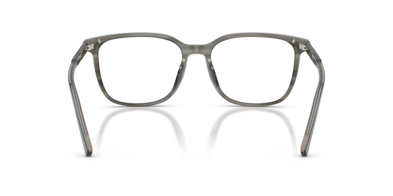 DOLCE &amp; GABBANA DG3445 3479 55