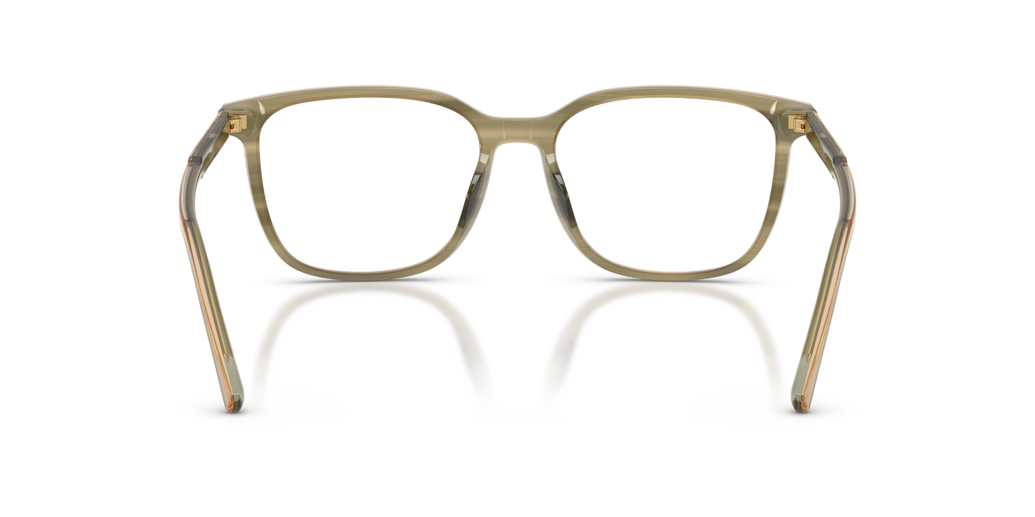 DOLCE &amp; GABBANA DG3445 3480 55