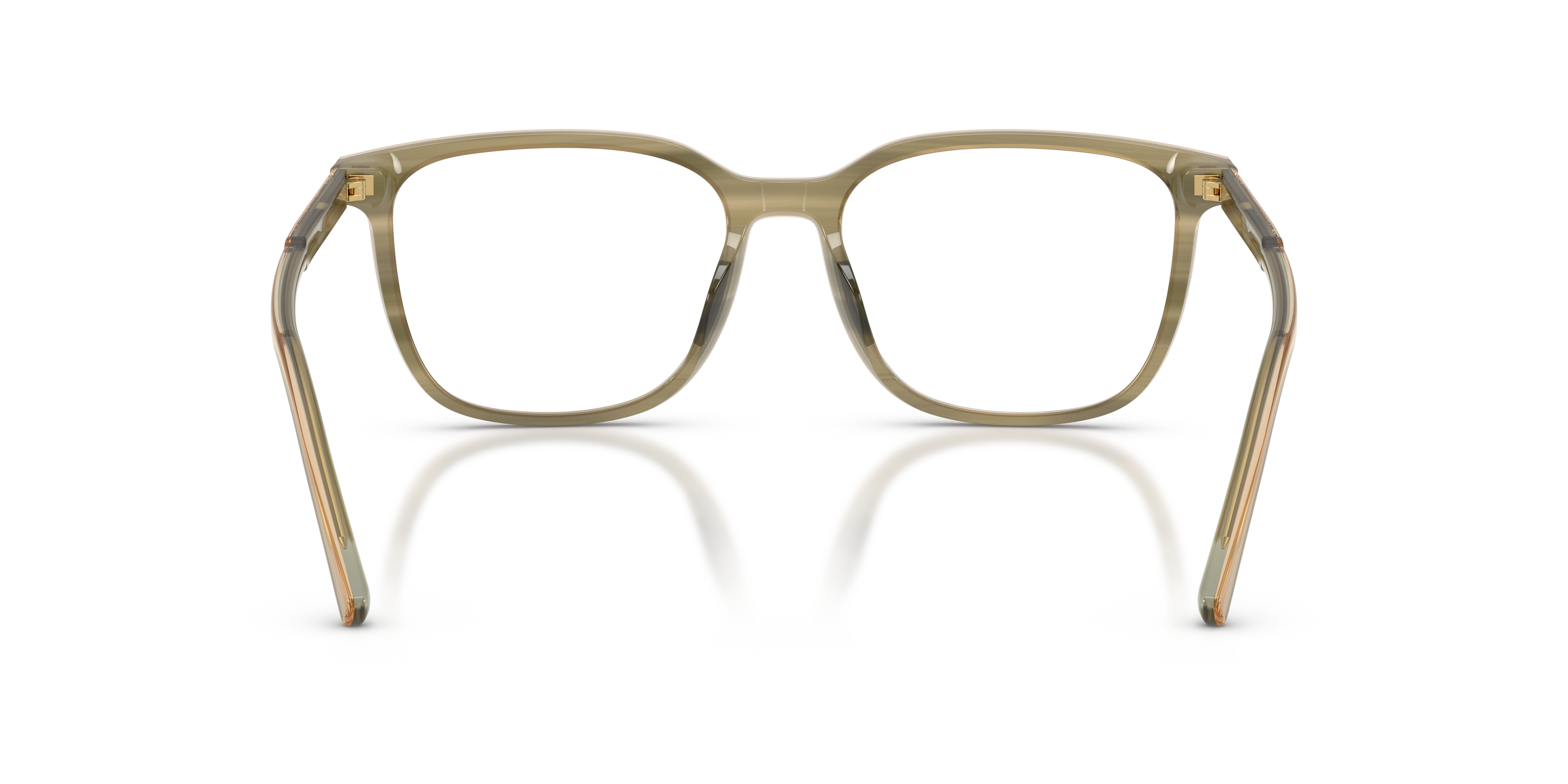 DOLCE &amp; GABBANA DG3445 3480 55