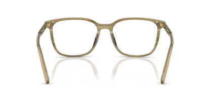 DOLCE &amp; GABBANA DG3445 3480 55