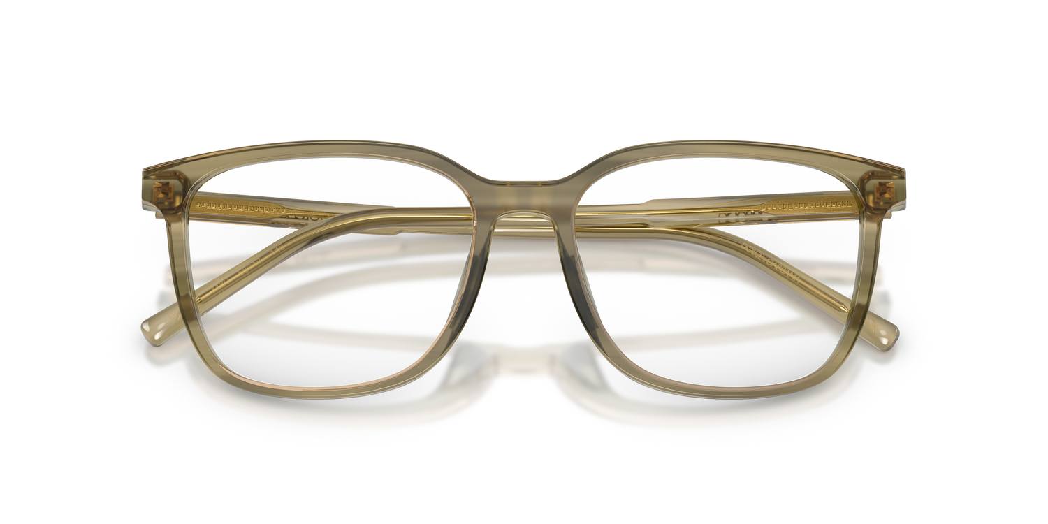 DOLCE &amp; GABBANA DG3445 3480 55