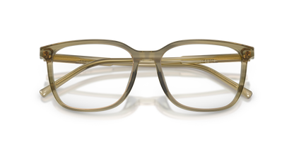DOLCE &amp; GABBANA DG3445 3480 55