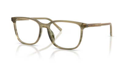 DOLCE &amp; GABBANA DG3445 3480 55