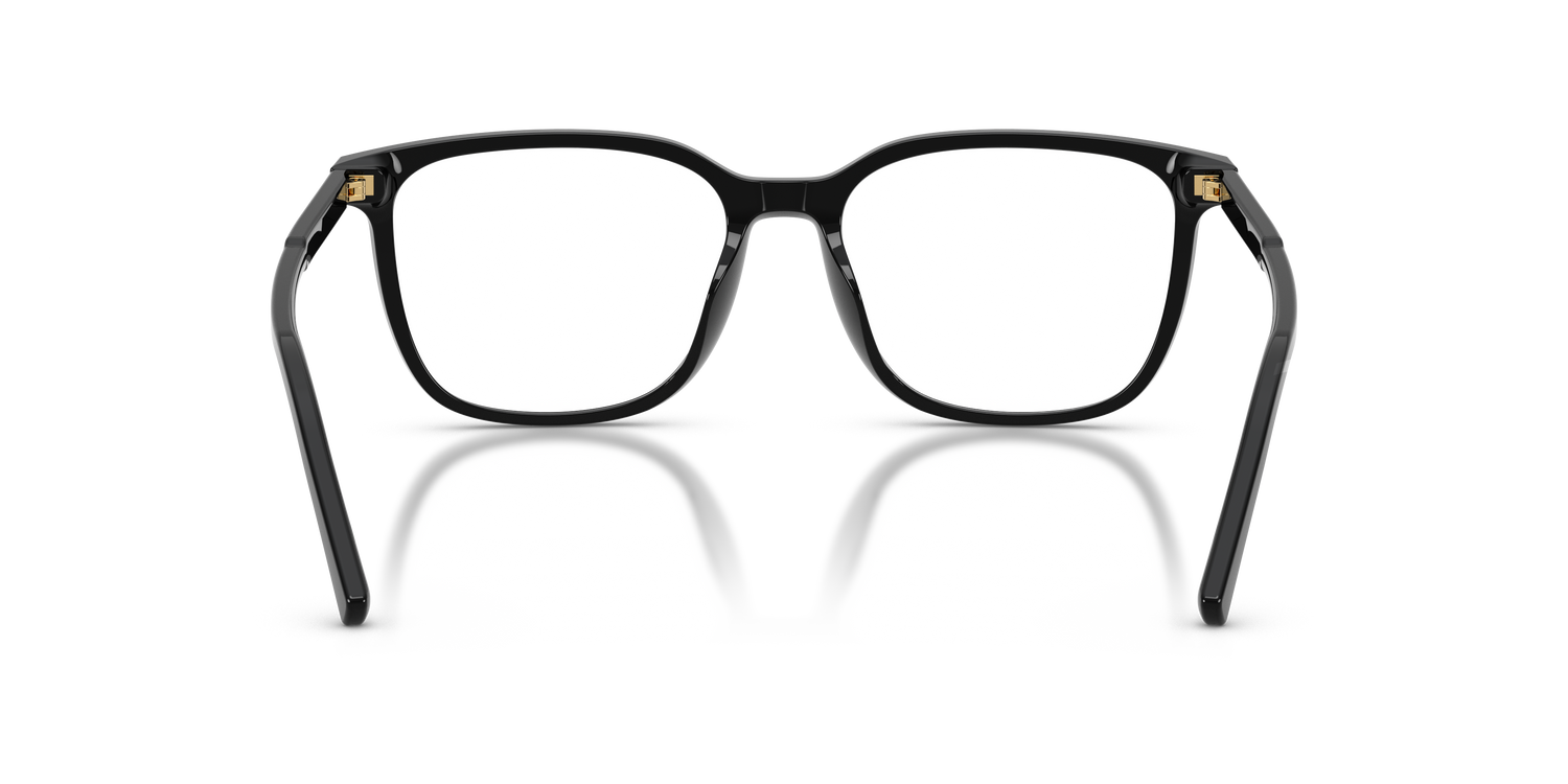 DOLCE &amp; GABBANA DG3445 501 53