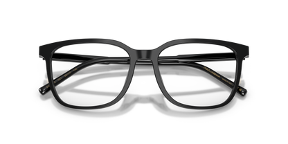 DOLCE &amp; GABBANA DG3445 501 53