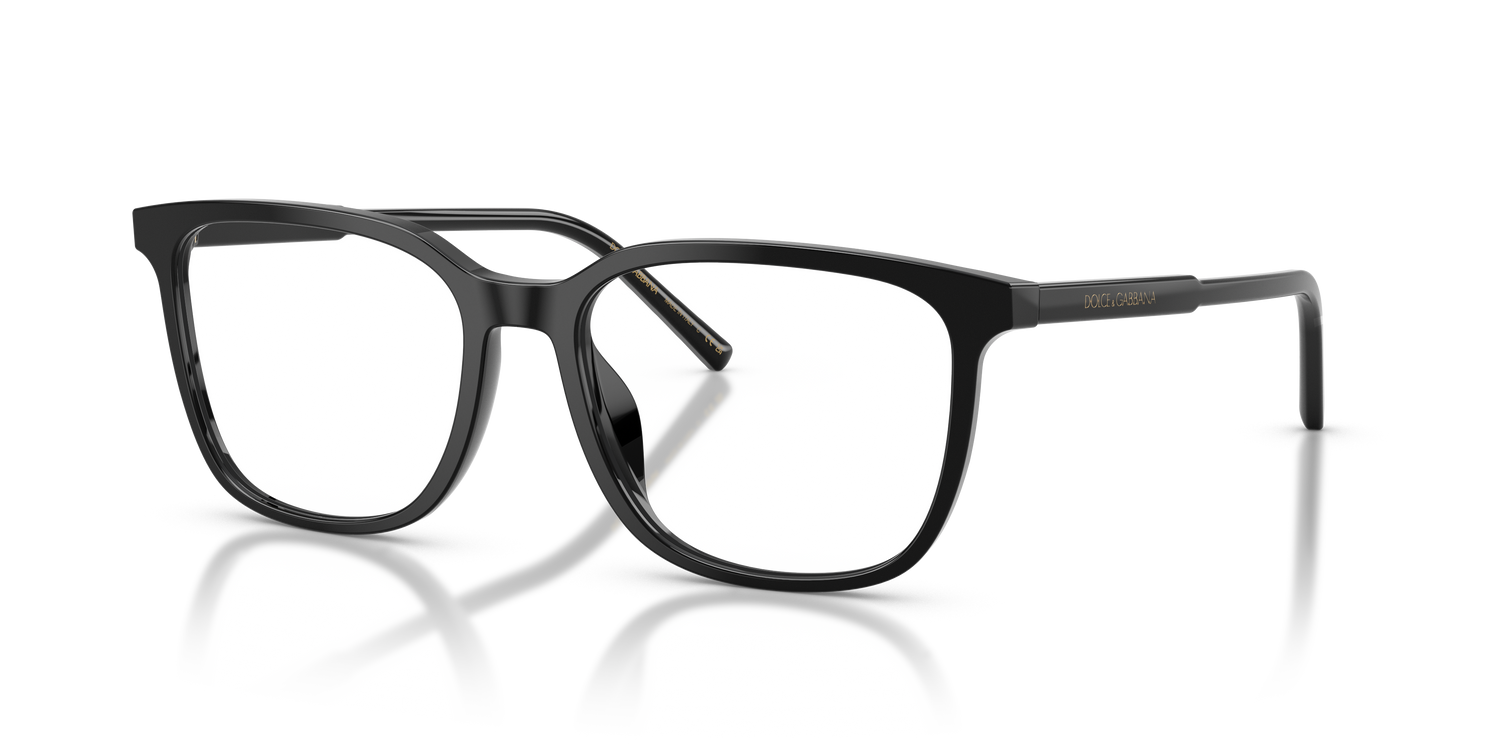 DOLCE &amp; GABBANA DG3445 501 53