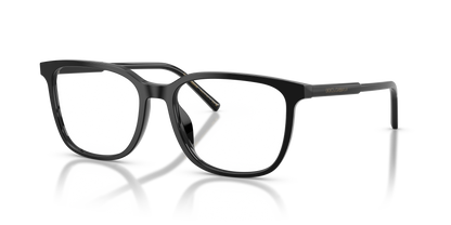 DOLCE &amp; GABBANA DG3445 501 53