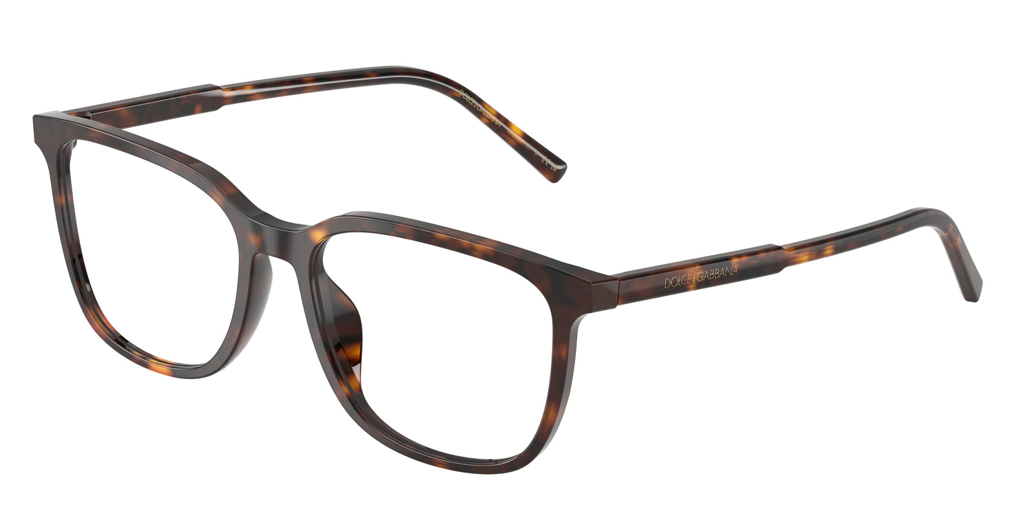 DOLCE &amp; GABBANA DG3445 502 53