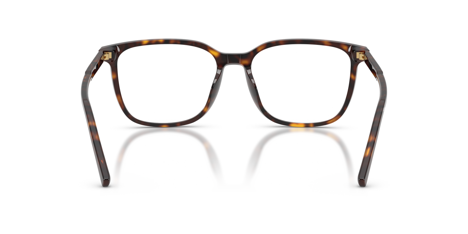 DOLCE &amp; GABBANA DG3445 502 53