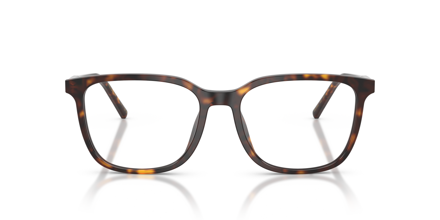 DOLCE &amp; GABBANA DG3445 502 53