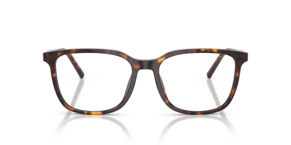 DOLCE &amp; GABBANA DG3445 502 53