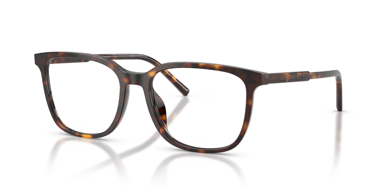 DOLCE &amp; GABBANA DG3445 502 53