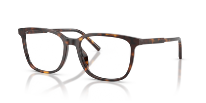 DOLCE &amp; GABBANA DG3445 502 53