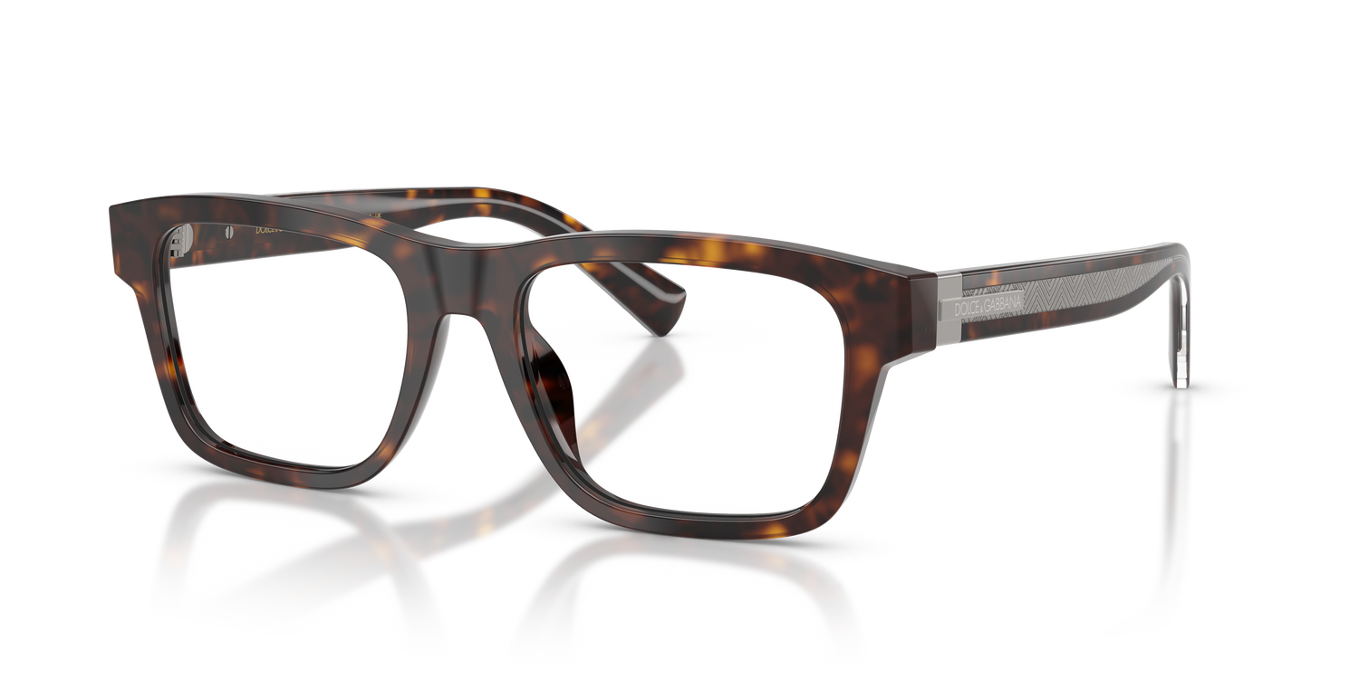 DOLCE &amp; GABBANA DG3446 502 51