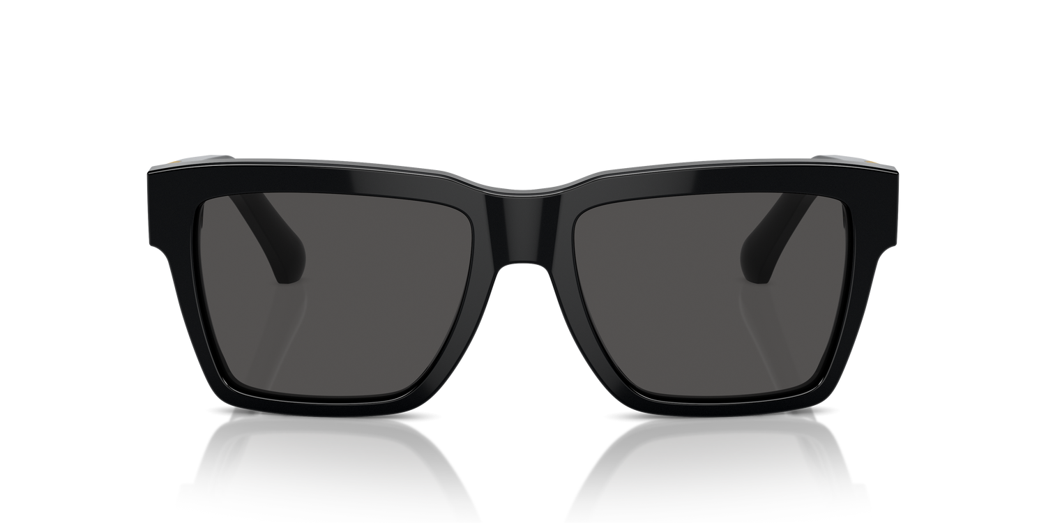 DOLCE &amp; GABBANA DG4465 501/87 55