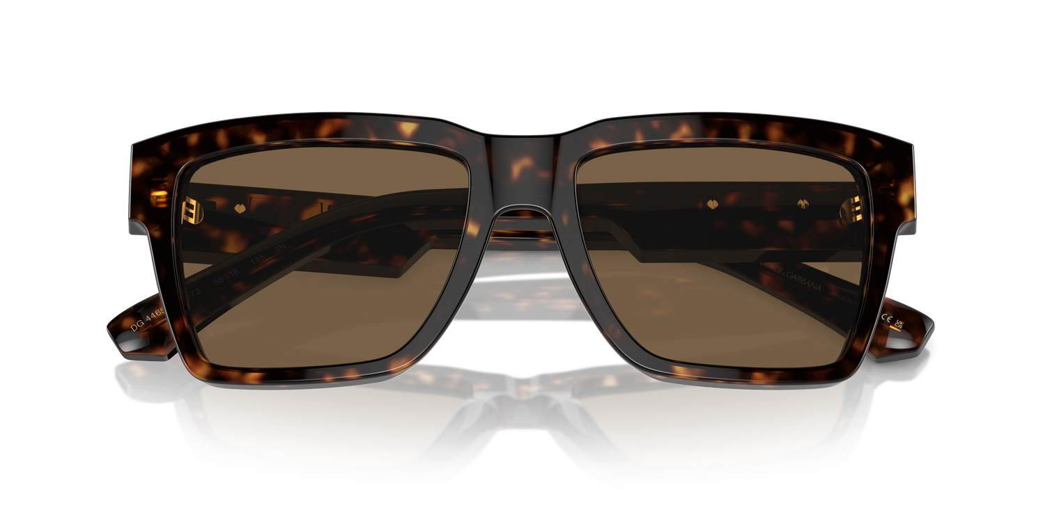 DOLCE &amp; GABBANA DG4465 502/73 55