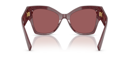 DOLCE &amp; GABBANA DG4478 3442D0 53