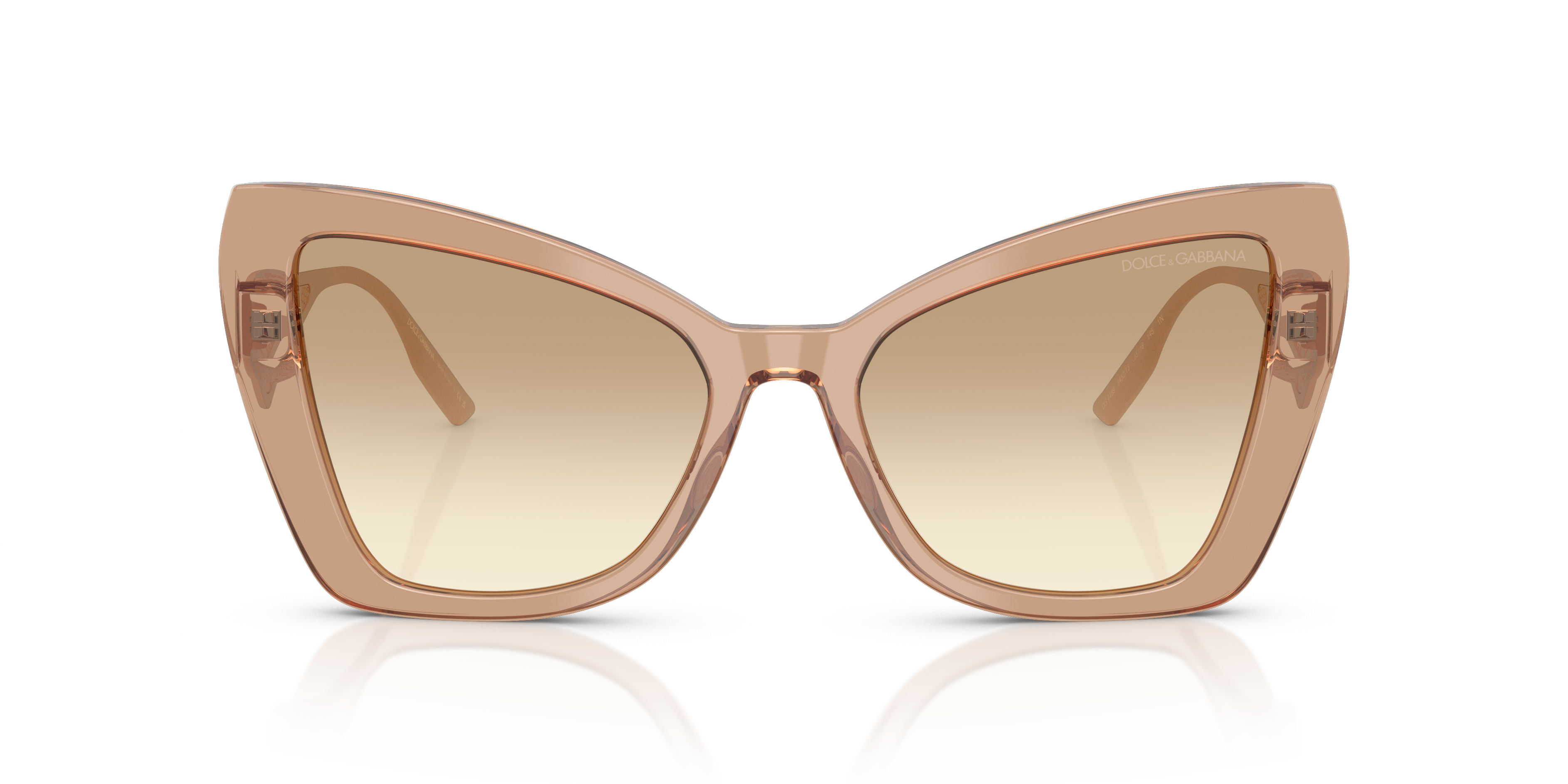 DOLCE &amp; GABBANA DG4489 343213 55