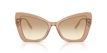 DOLCE &amp; GABBANA DG4489 343213 55