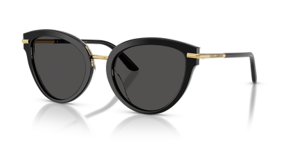 DOLCE &amp; GABBANA DG4492 32998G 55