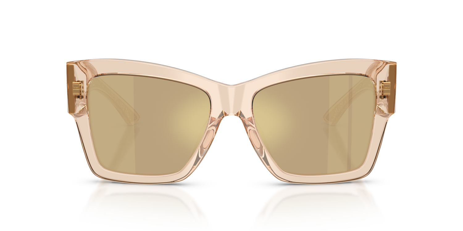 DOLCE &amp; GABBANA DG4493 343203 55