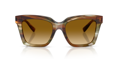 DOLCE &amp; GABBANA DG4498 34462L 55