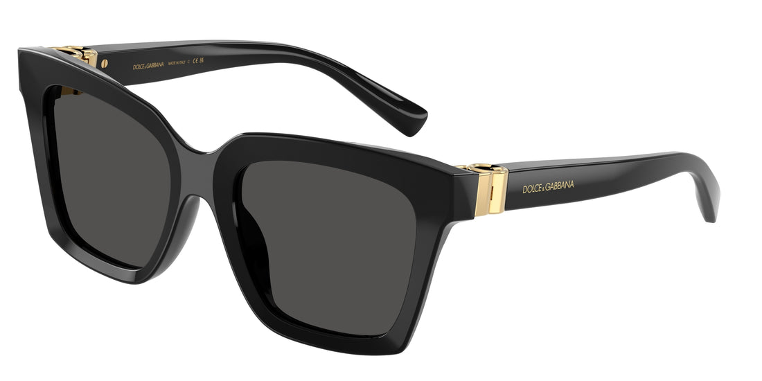 DOLCE & GABBANA DG4498 501/87 55