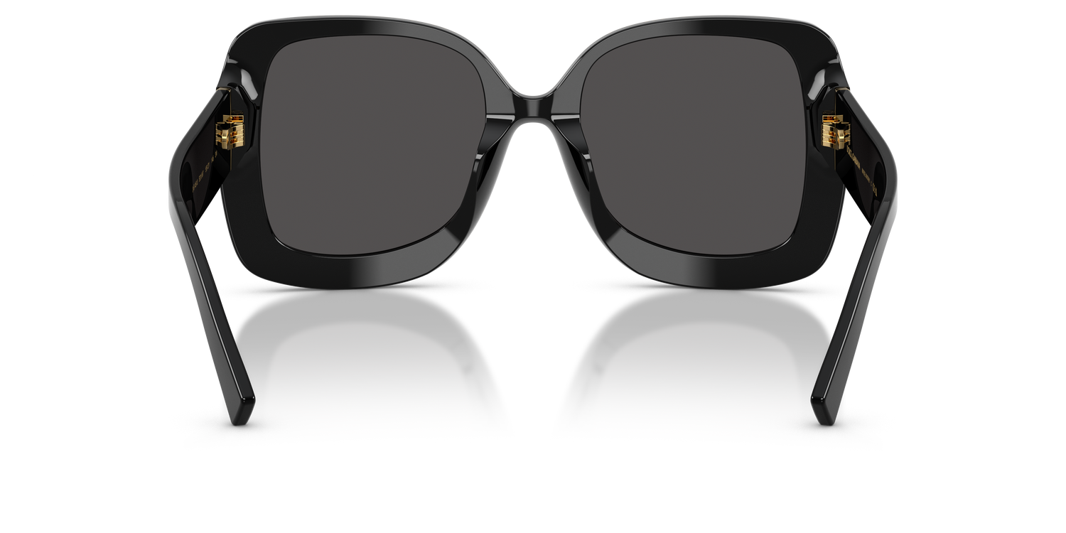 DOLCE &amp; GABBANA DG4513 501/87 55