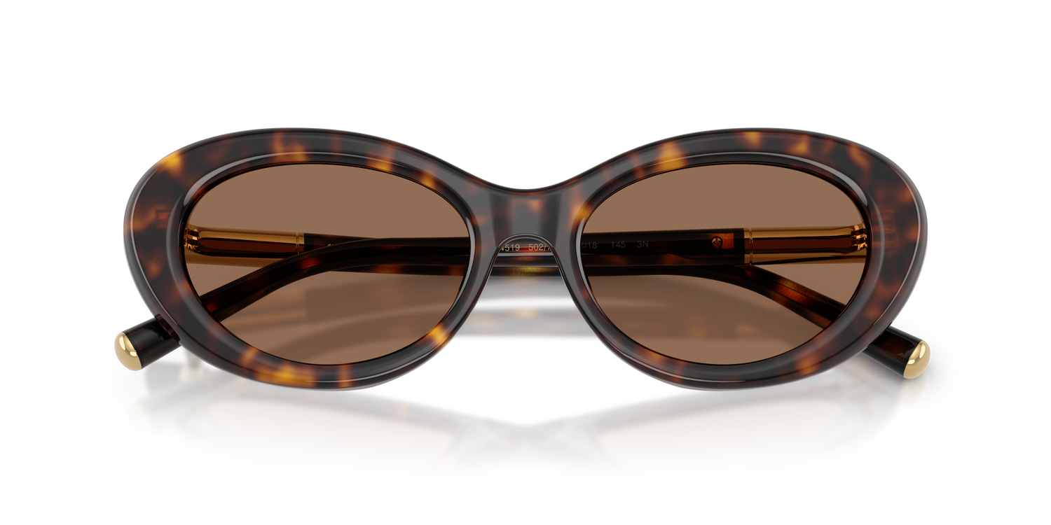 DOLCE &amp; GABBANA DG4519 502/73 54