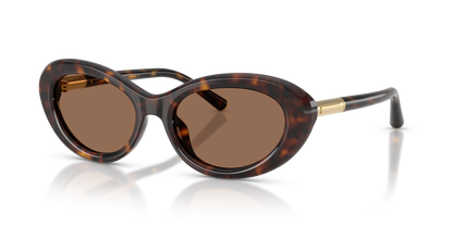 DOLCE &amp; GABBANA DG4519 502/73 54