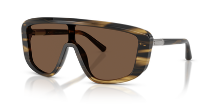 DOLCE &amp; GABBANA DG4520 306373 28