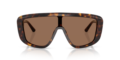 DOLCE &amp; GABBANA DG4520 502/73 28