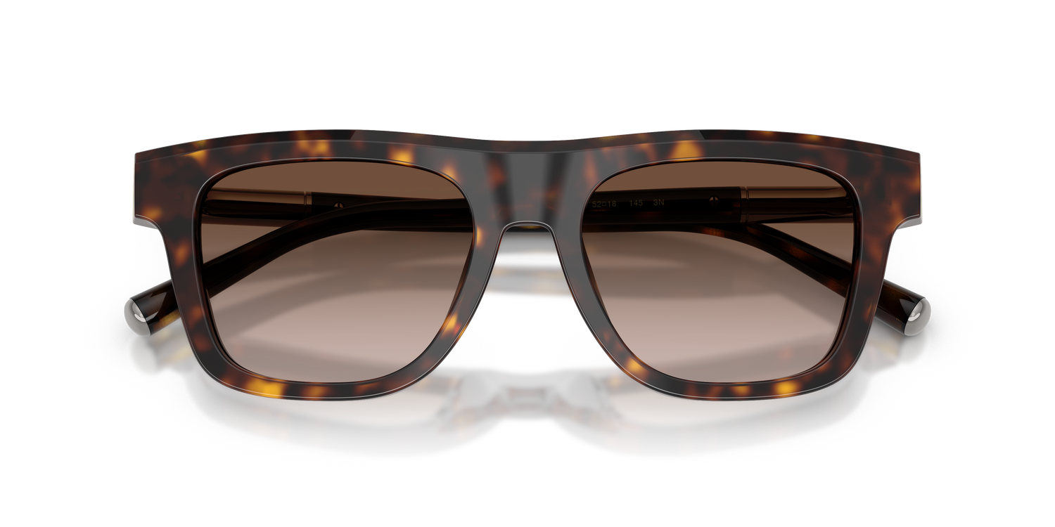 DOLCE &amp; GABBANA DG4521 502/13 52