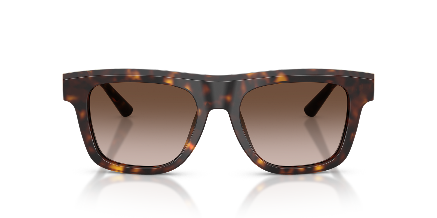 DOLCE &amp; GABBANA DG4521 502/13 52