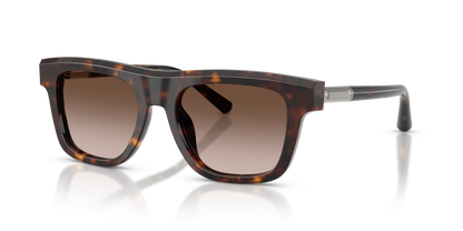 DOLCE &amp; GABBANA DG4521 502/13 52