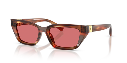 DOLCE &amp; GABBANA DG4532 322175 53