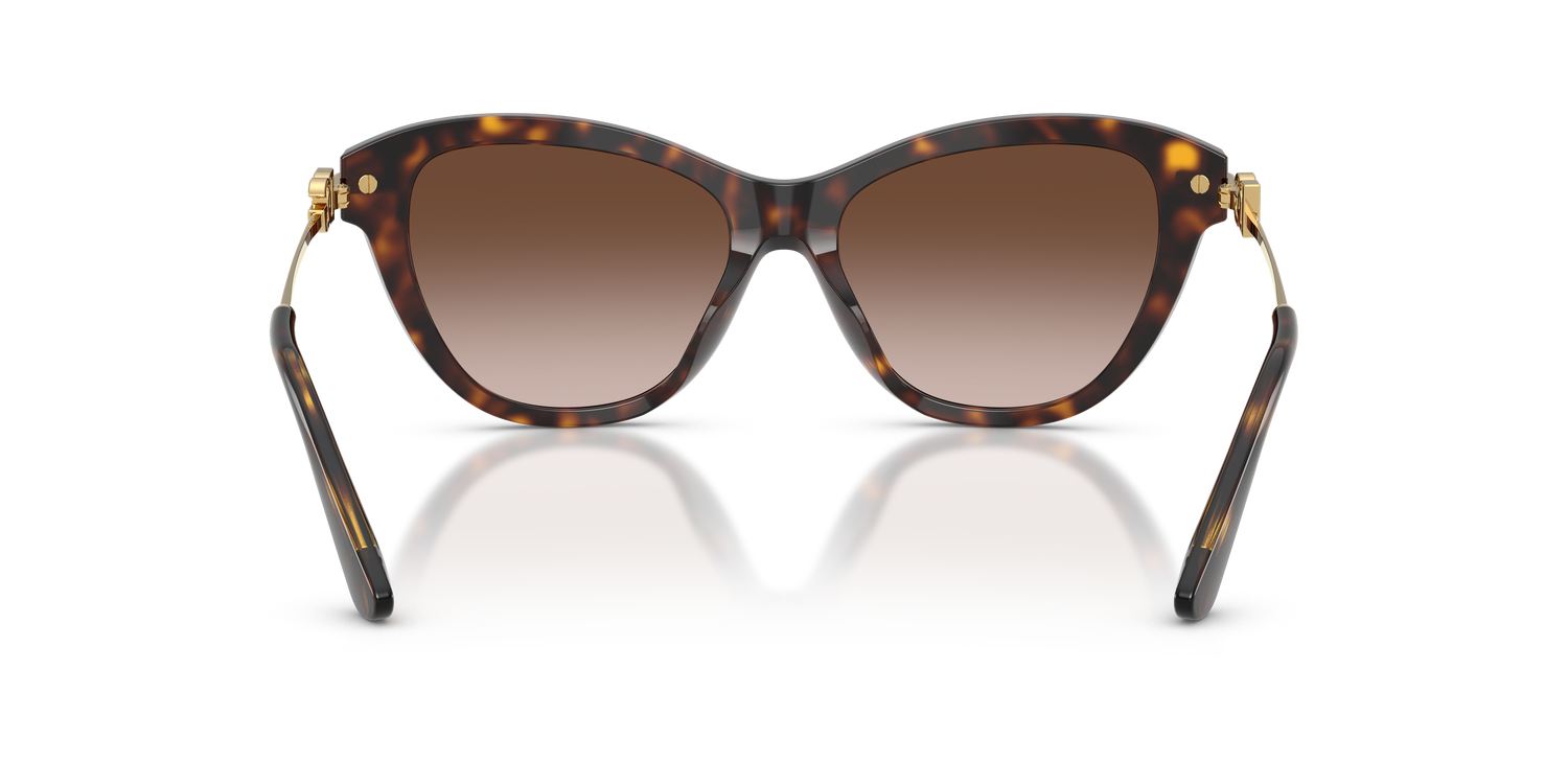 DOLCE &amp; GABBANA DG4534 502/13 53