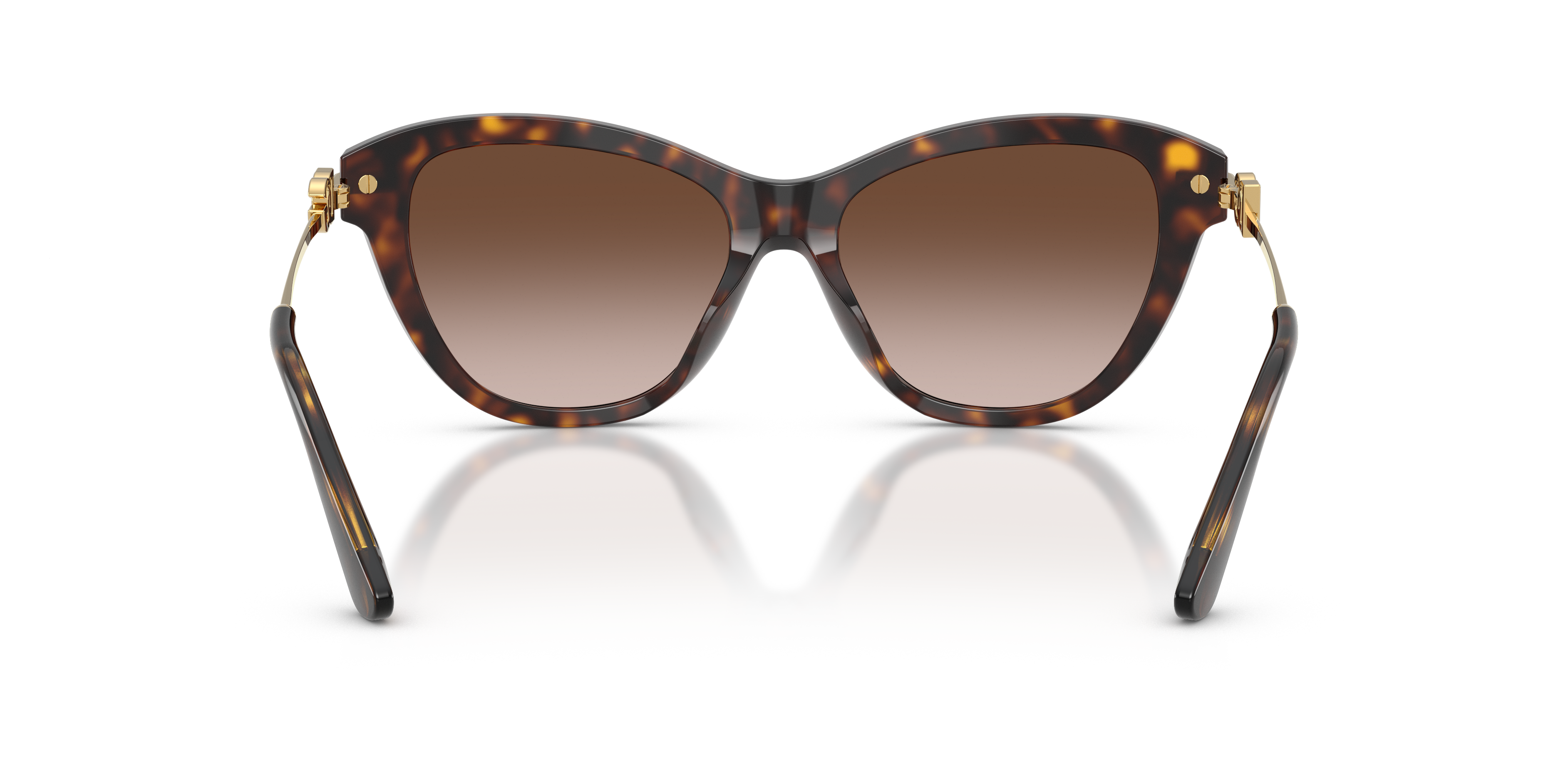 DOLCE &amp; GABBANA DG4534 502/13 53