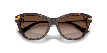 DOLCE &amp; GABBANA DG4534 502/13 53