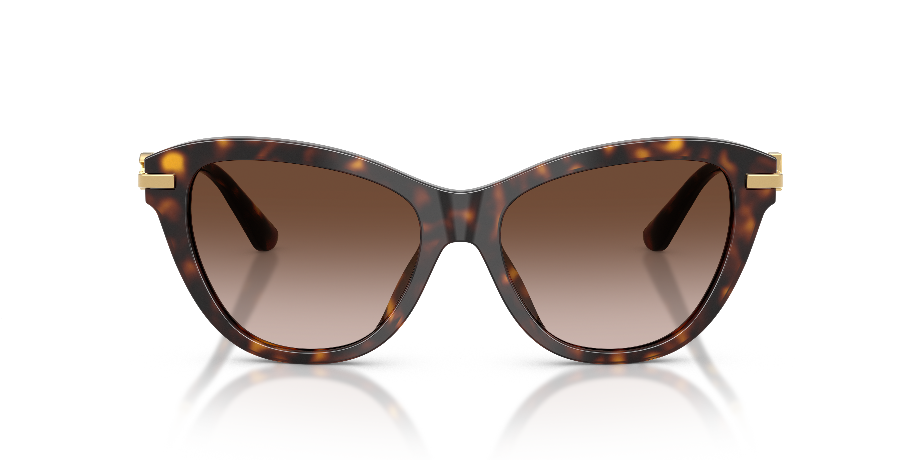 DOLCE &amp; GABBANA DG4534 502/13 53