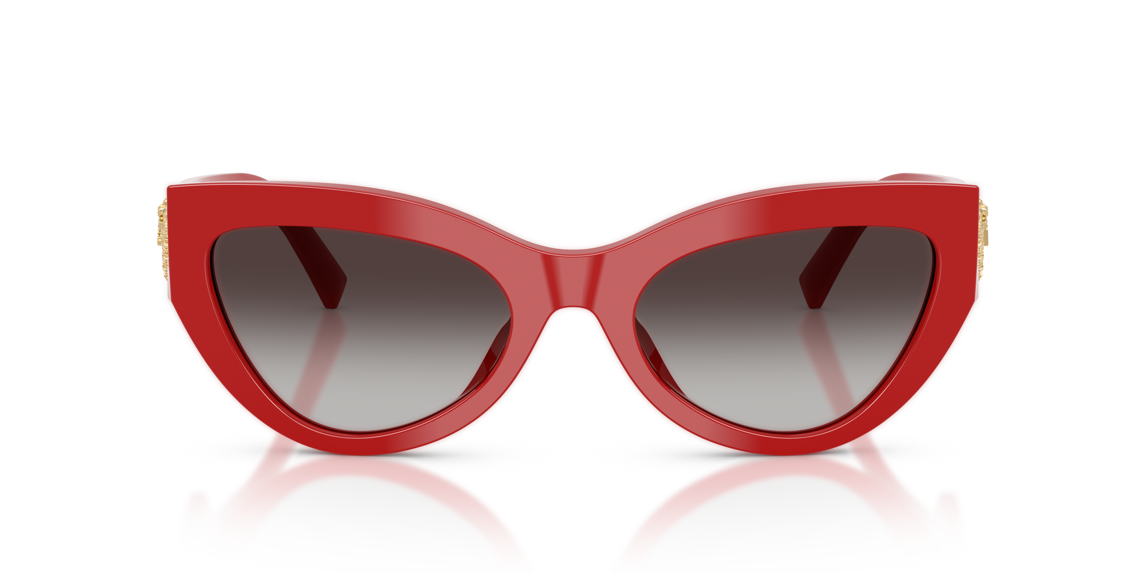 DOLCE &amp; GABBANA DG4536 30888G 55