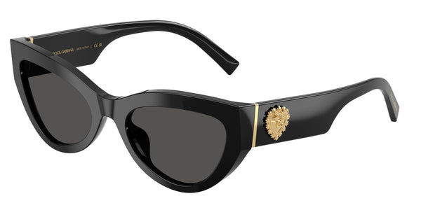 DOLCE & GABBANA DG4536 501/87 55