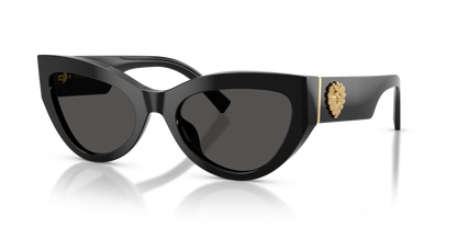 DOLCE &amp; GABBANA DG4536 501/87 55