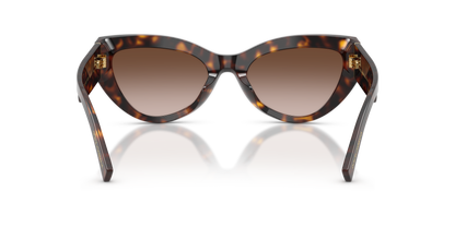 DOLCE &amp; GABBANA DG4536 502/13 55